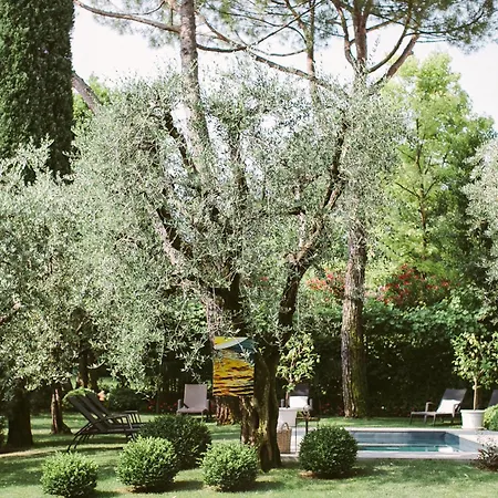Piccola Vela-2